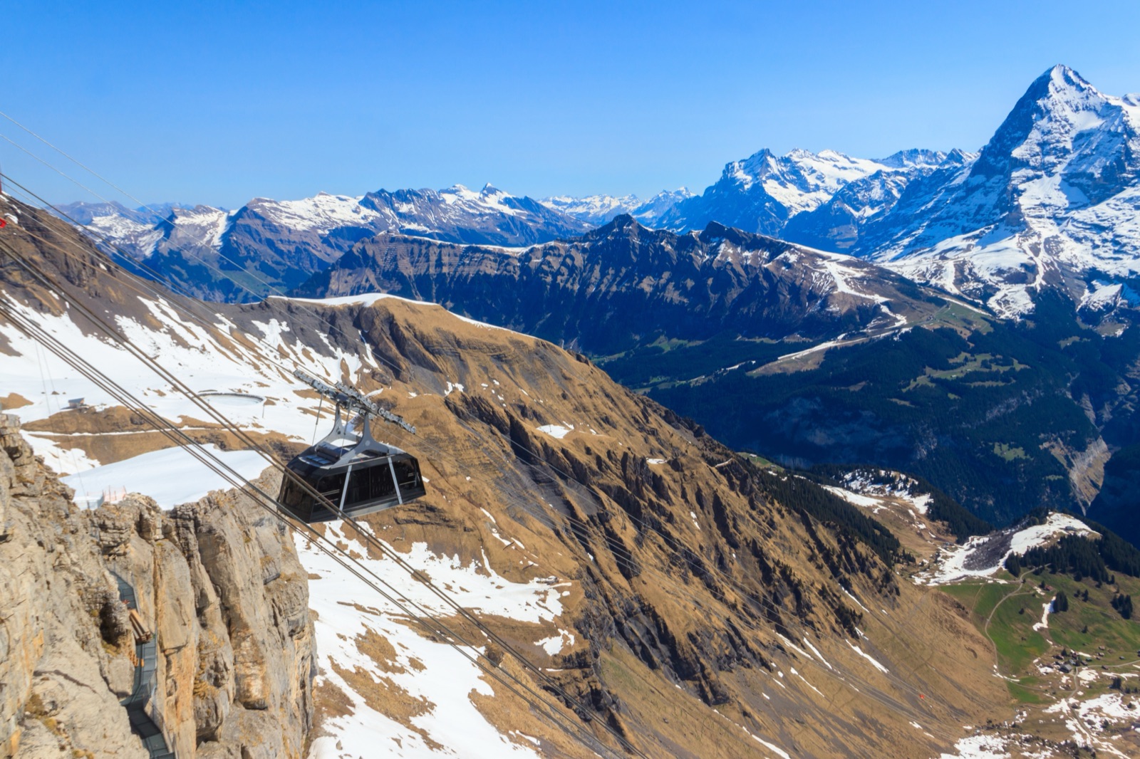 Schilthorn bernese